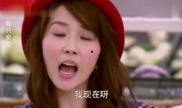 雪梨吃瓜娱乐说,揭秘娱乐圈幕后故事