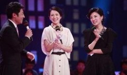 撒贝宁爆料合集视频大全,揭秘娱乐圈幕后故事