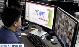 深圳女士爆料新闻视频,揭露惊人内幕，引发社会关注